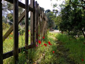 Photo Garden fence
